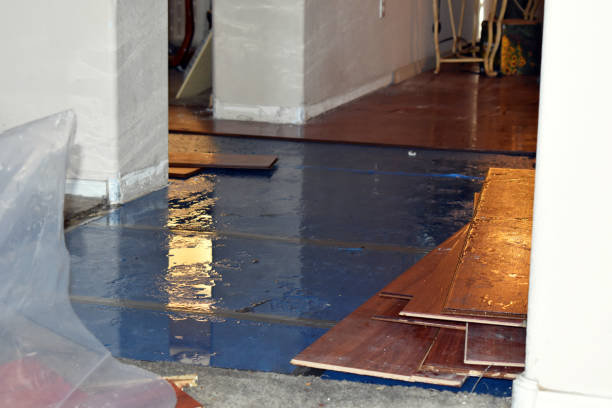 Professional Basement Flooding technician working in Johnston, IA